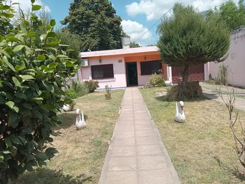 Calle Blasco Ibañez 4100