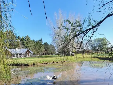 Chacra con lago propio y Pileta
