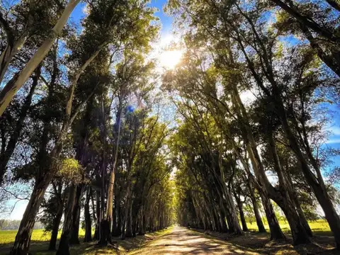 Terreno en Venta en San Andres De Giles, USD 28.000