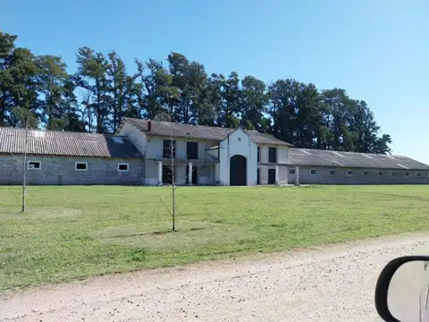 Bernardino Rivadavia 100