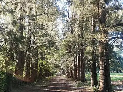 Terreno en Venta en Marcos Paz, USD 25.000