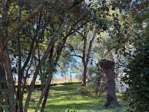 LOTE EN VENTA EL BOSQUE C.C.