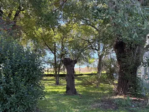 EL BOSQUE COUNTRY CLUB 100