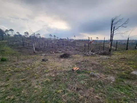 RUTA S271 VILLA DEL CONDOR