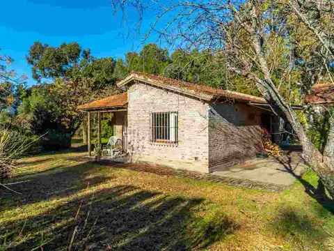 Antonio Lattanzio 1800