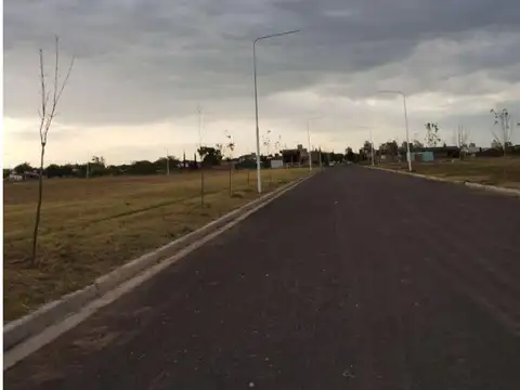 LOTE TERRENO FRANCISCO I