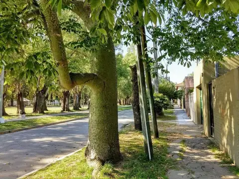 Martin Miguel De Guemes 100