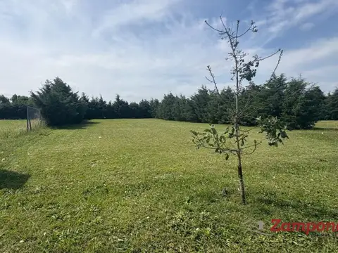 Terreno en Venta 20  mts Frente