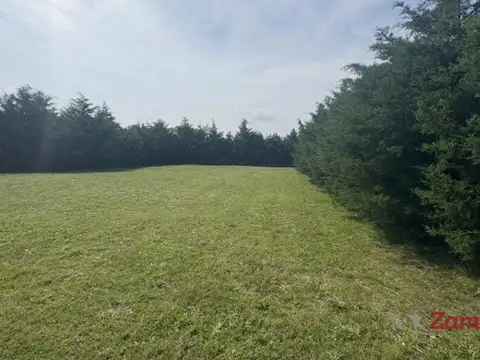 Terreno en Venta 39  mts Fondo