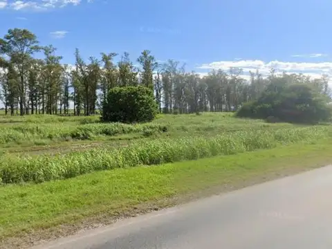 Campo en venta - 2.000.000Mts2 - Saira