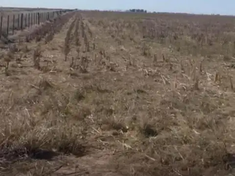 Campo en venta - 2.000.000Mts2 - Saira