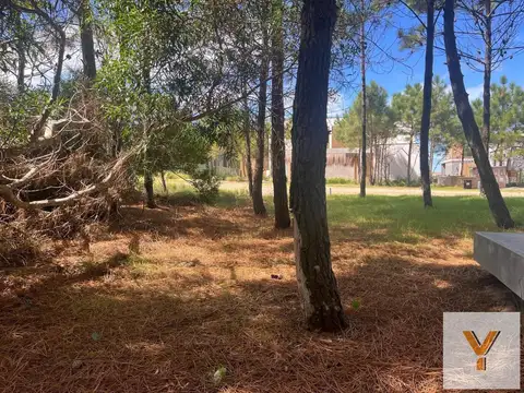Terreno en Venta de 1123,0 m2