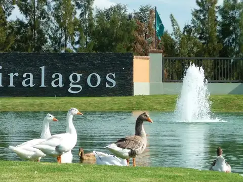 RUTA 2 - MIRALAGOS CCG&SPA  LOTE VISTA LAGO