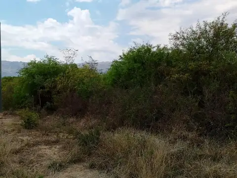 Terreno en Venta 20  mts Frente