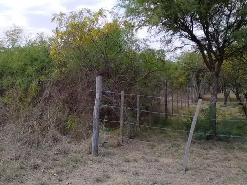 Terreno en Venta 50  mts Fondo