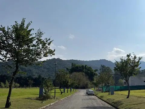 Ruta Provincial 338