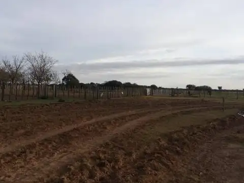 Casa en Alquiler A Estrenar