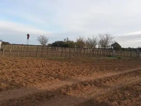 Nueva Galia, San Luis 100