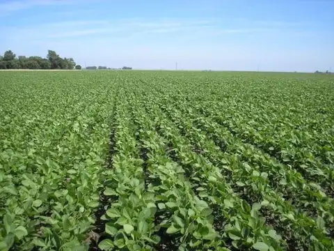 Campo en Venta de 30  ha