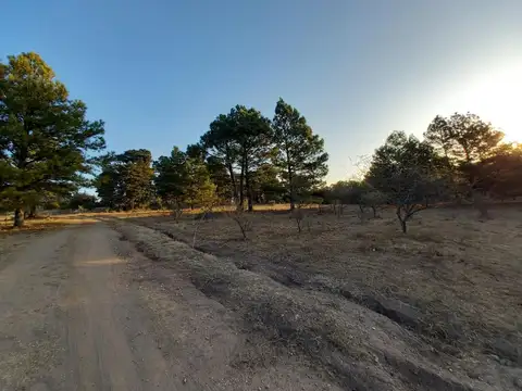 Terreno en Venta de 2467,0 m2