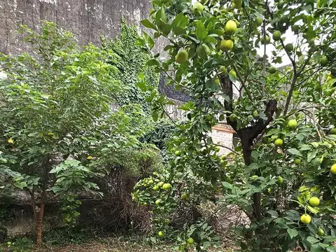 Terreno en Venta en Flores, USD 128.000