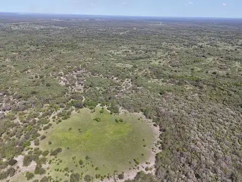 4200 hectáreas novilleras para recría o engorde a campo natural - Los Tábanos - Vera - Santa Fe