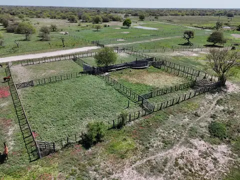 Campo en Alquiler de 4.200  ha