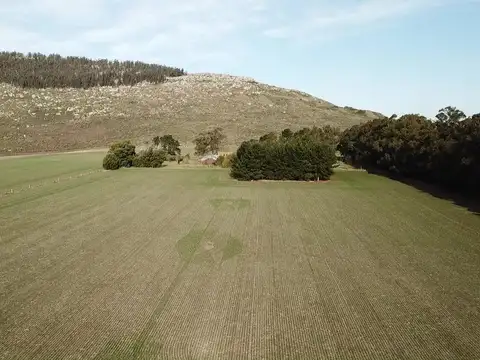 Balcarce - 15 has. Cantera