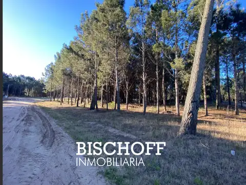VENTA DE LOTE BARRIO PRIVADO PIONEROS PINAMAR