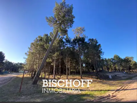 VENTA DE LOTE BARRIO PRIVADO PIONEROS PINAMAR