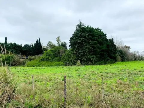 Terreno en Venta de 2000,0 m2