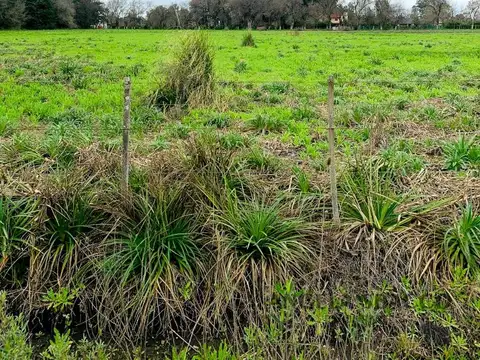 Terreno en Venta de 2000,0 m2