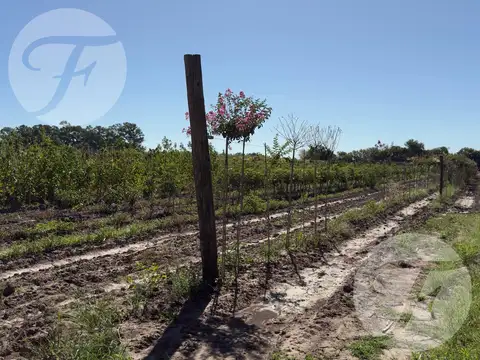 Parcela de 2 hectáreas con excelente ubicación en San Pedro