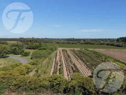 Terreno en Venta 230  mts Fondo