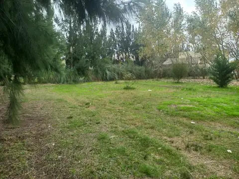 Terreno - Venta - Argentina, Domselaar