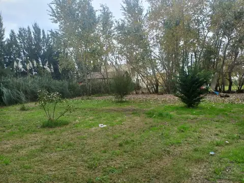 Terreno - Venta - Argentina, Domselaar