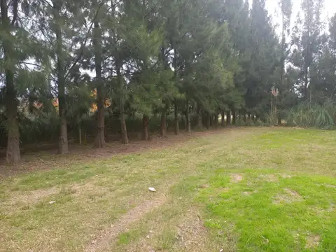 Terreno - Venta - Argentina, Domselaar