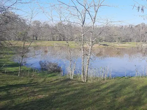 Terreno en Venta - El Cazador, 4 ha para subdividir y lotear.