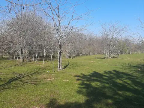 Terreno en Venta en Barrio el Cazador, USD 400.000