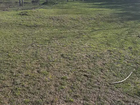 El Zorzal Y Van Dick