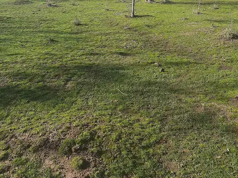 Terreno en Venta de 40000,0 m2