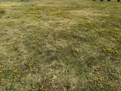 Terreno en Venta de 601,0 m2