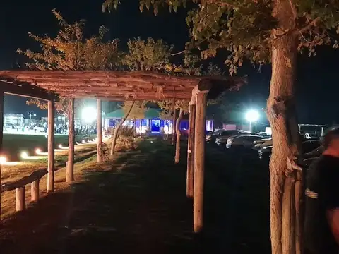 callejon Franco 100