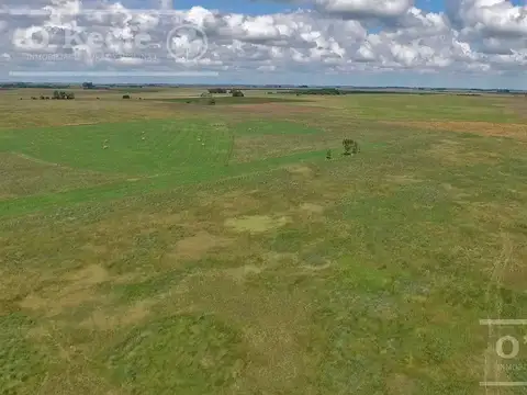 Campo en venta en Chascomus 500 Has.  Mixto, armado. Producir y disfrutar.