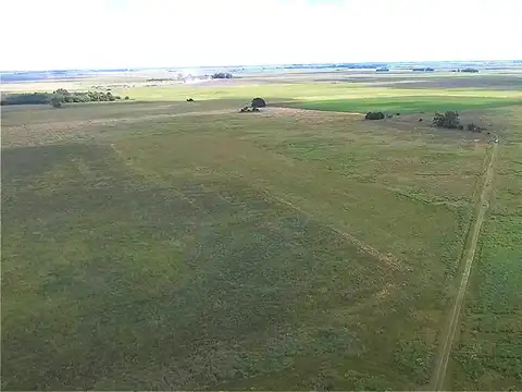 Chascomus 500 Has en Venta. Campo Ganadero, armado, con 20 % de aptitud Agrícola. Para producir y disfrutar