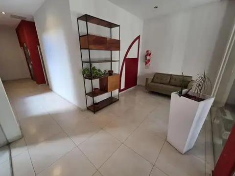 Paunero 300
