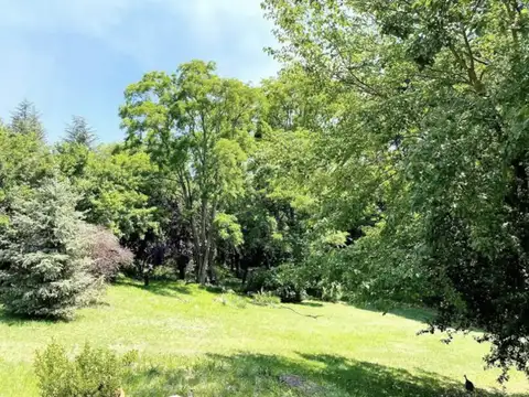 Casa en Alquiler Temporal A Estrenar