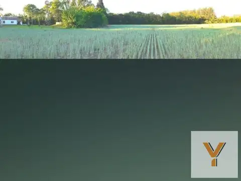 Campo en venta - 47.000Mts2 - Mercedes
