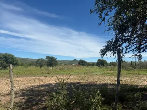 Campo de 7ha en Nono