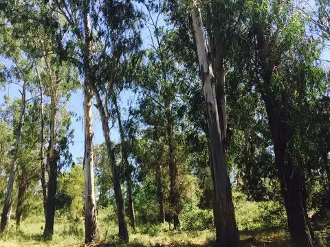 La Sierrita Villa del Dique